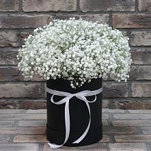 Цветочная композиция из Гипсофила в шляпной коробке #REPLACE_PRED# Дурнихе