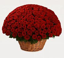 Премиум букет из: Розы в Дурнихе